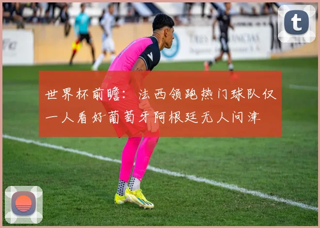 世界杯前瞻：法西领跑热门球队仅一人看好葡萄牙阿根廷无人问津