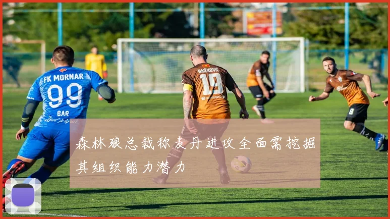 森林狼总裁称麦丹进攻全面需挖掘其组织能力潜力